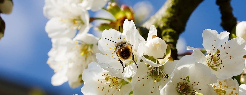 The Heart of the Season: Spring